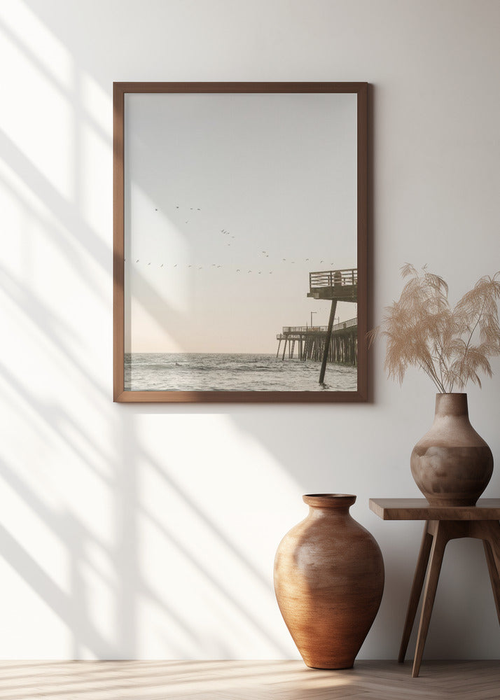 California Surfers Poster